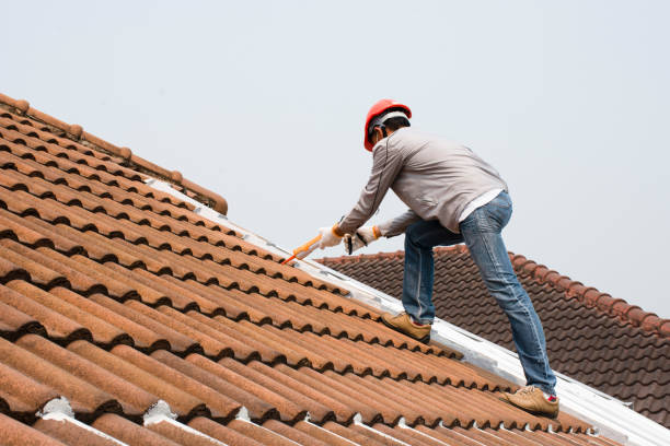 Best Flat Roofing  in Carter, TX