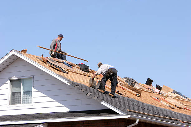 Best Gutter Installation and Repair  in Carter, TX